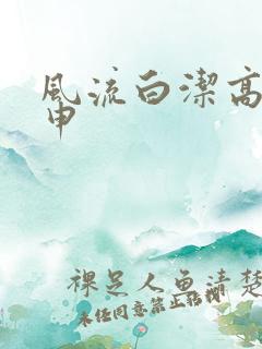 风流白洁高义王申