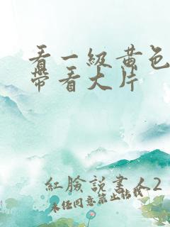 看一级黄色录像带看大片