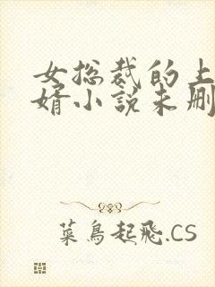 女总裁的上门女婿小说未删版