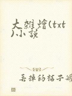 大杂烩(txt)小说