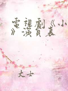 电视剧《小丈夫》演员表