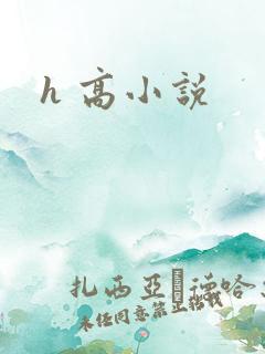 h 高小说