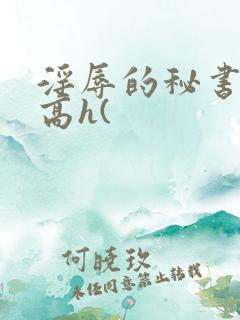 淫辱的秘书调教高h(