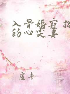 入骨婚宠 总裁的心尖妻