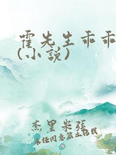 霍先生乖乖宠我(小说)