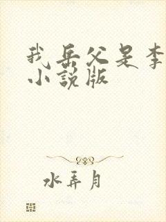 我岳父是李世民小说版
