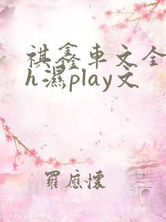 祺鑫车文全肉高h湿play文