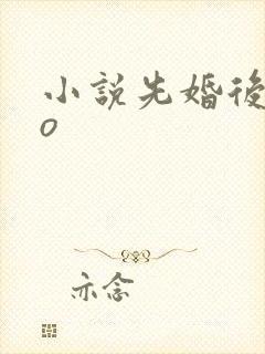 小说先婚后爱po
