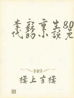 李毅重生80年代的小说免费阅读