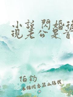 小说 闪婚后发现老公是首富大佬