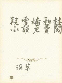 段雪娇和林杰的小说免费阅读完整版