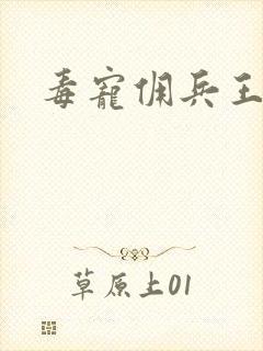 毒宠佣兵王妃