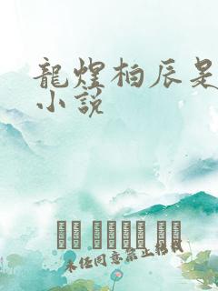 龙煜柏辰是什么小说