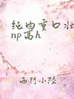 纯肉重口壮汉受np高h
