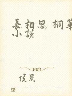 长相思 桐华 小说