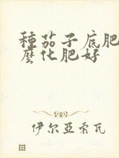 种茄子底肥用什么化肥好