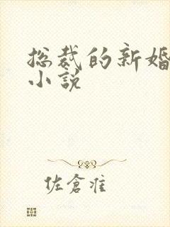总裁的新婚罪妻小说
