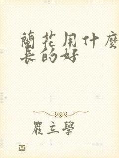 兰花用什么肥料长的好