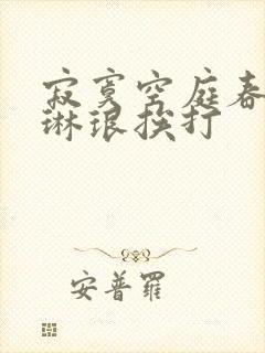 寂寞空庭春欲晚琳琅挨打