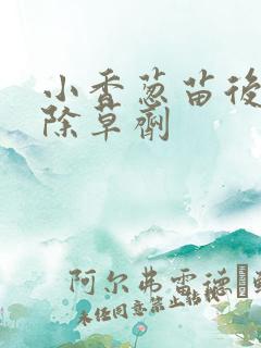 小香葱苗后专用除草剂