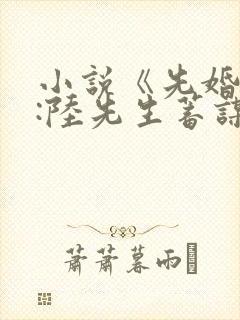 小说《先婚后爱:陆先生蓄谋已久》