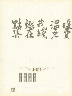点燃我温暖你全集在线免费观看