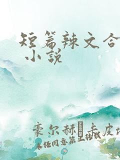 短篇辣文合集. 小说