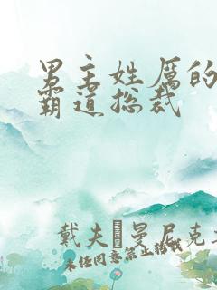 男主姓厉的小说霸道总裁