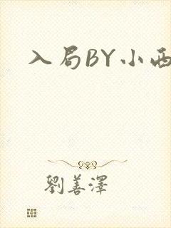 入局BY小西