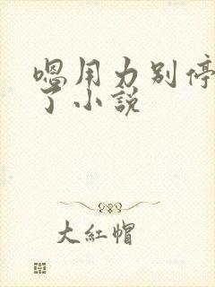 嗯用力别停受不了小说