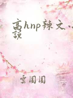 高hnp辣文小说