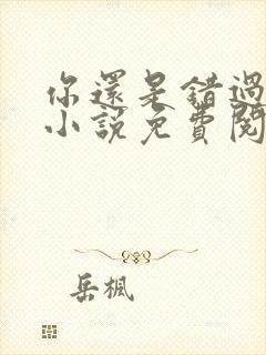 你还是错过我了小说免费阅读