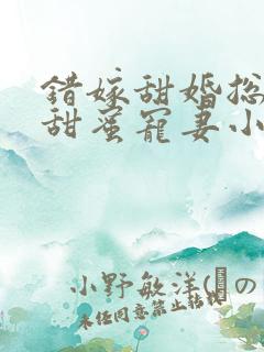 错嫁甜婚总裁的甜蜜宠妻小说