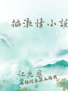 插激情小说