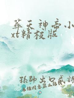 葬天神帝小说txt精校版
