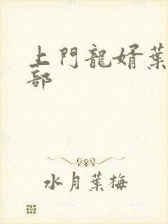 上门龙婿叶辰全部
