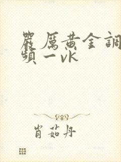 严厉黄金调教视频一vk