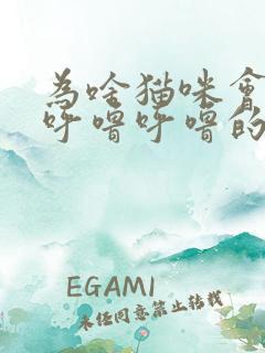 为啥猫咪会发出呼噜呼噜的声音
