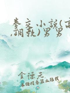 拳交小说(高h,调教)男男