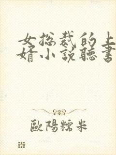 女总裁的上门女婿小说听书