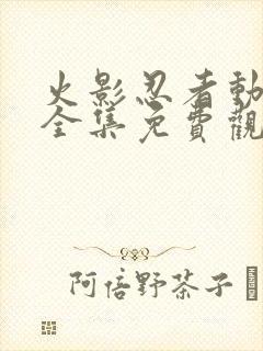 火影忍者动画片全集免费观看版