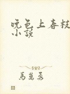 晚色上春枝原著小说