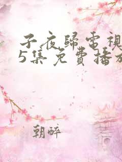 子夜归电视剧35集免费播放