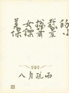 美女总裁的贴身保镖萧晨 小说