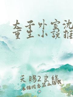 太子外室沈银翎重生小说推荐