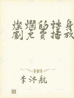 灿烂的转身电视剧免费播放
