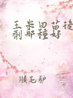 玉米田苗后除草剂哪种好