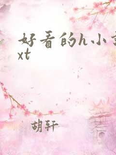 好看的h小说txt