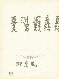 亚洲 国产 欧美 另类丝袜