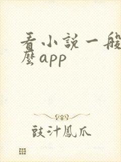 看小说一般用什么app